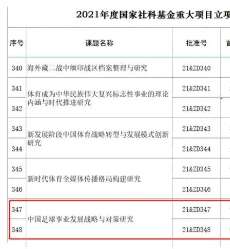 姐姐爱情动作