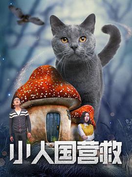 一级特级欧美a毛片免费