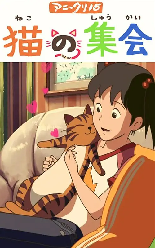 丰满的房地产小姐