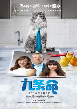 不要回头看