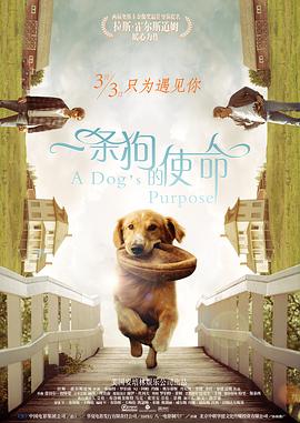 国产在线精品观看一区