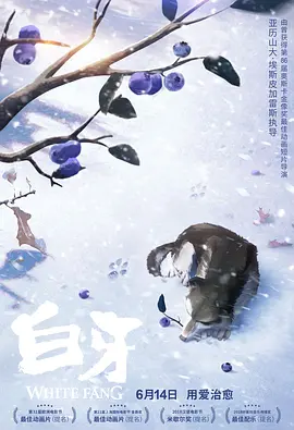 国产精品免费av一区二区