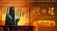 91精品视品在线播放