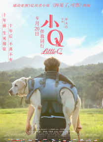 8488电视剧免费播放在线观看